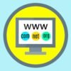 1domain Domain registration