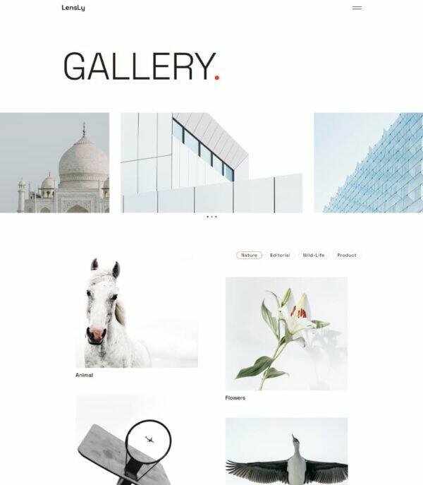 LensLy - Photography Template For Elementor